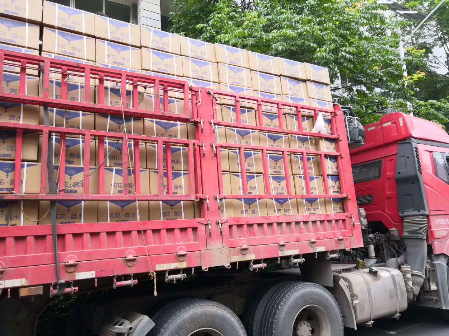 蚊不叮03.jpg